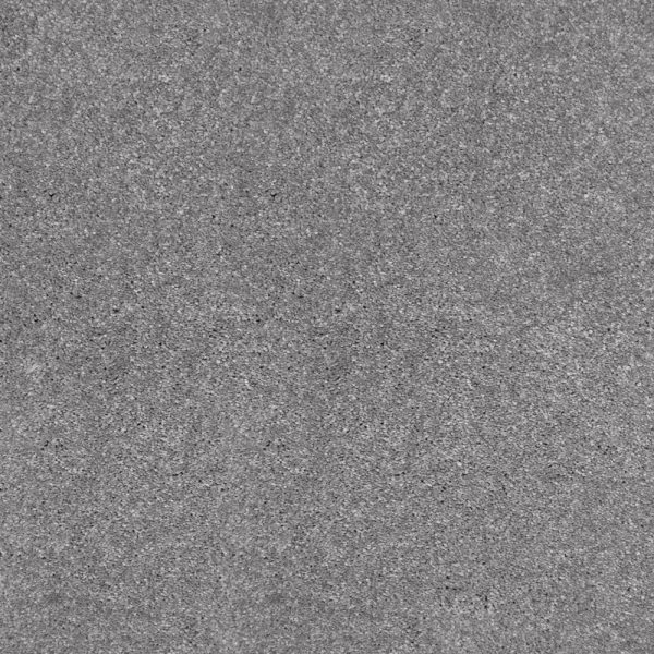 Roman Silver Color Carpet Image
