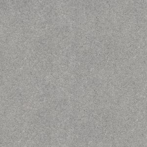 Silver Chalice Color Carpet Image
