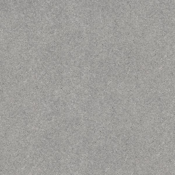 Silver Chalice Color Carpet Image