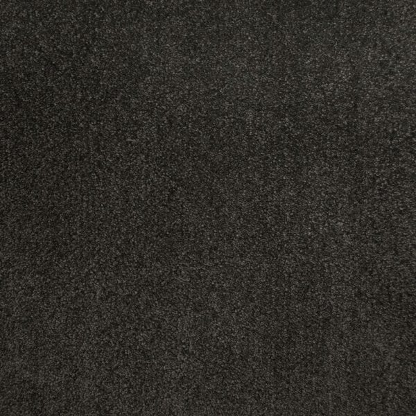 Charcoal Color Carpet Image