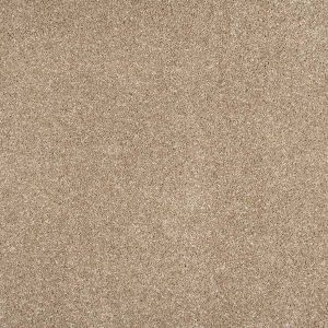 Sandy Beach Color Carpet Image