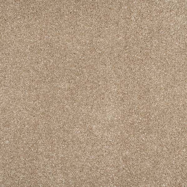 Sandy Beach Color Carpet Image