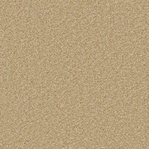 Apollo Plus Carpet - Image 4