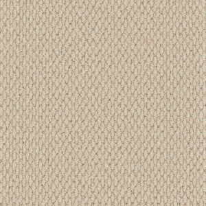 Primo Textures Carpet - Image 8