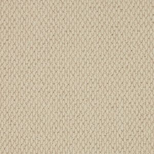 Primo Textures Carpet - Image 6