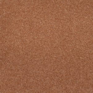 Pembroke Twist Carpet - Image 11