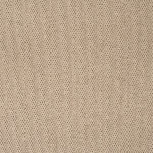 Primo Textures Carpet - Image 7