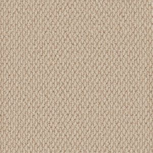 Primo Textures Carpet - Image 2