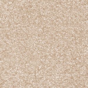 Dorado Invictus Carpet - Image 5