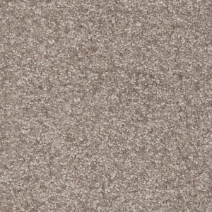 Dorado Invictus Carpet - Image 9