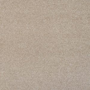 Yukon Carpet - Image 2