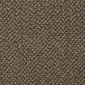 Stainaway Tweed Carpet - Image 9