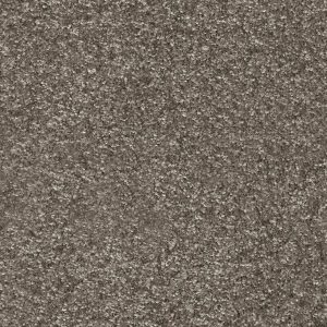 Dorado Invictus Carpet - Image 7