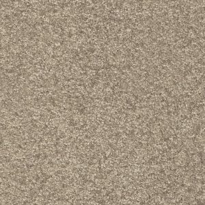 Dorado Invictus Carpet - Image 5
