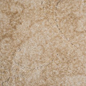 California Dreams Carpet - Image 6