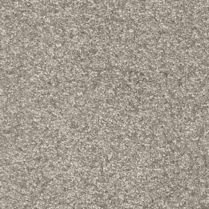 Dorado Invictus Carpet - Image 14