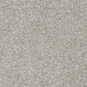 Dorado Invictus Carpet - Image 12