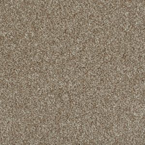 Darius Invictus Carpet - Image 11