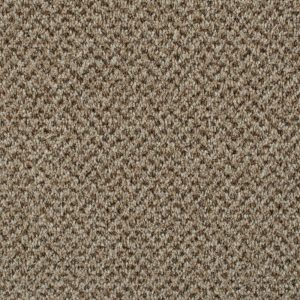 Stainaway Tweed Carpet - Image 7