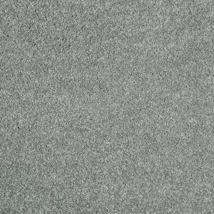 Centaurus Invictus Carpet - Image 10