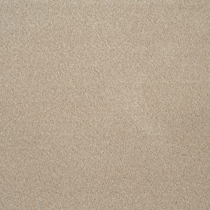 Orion Invictus Carpet - Image 4