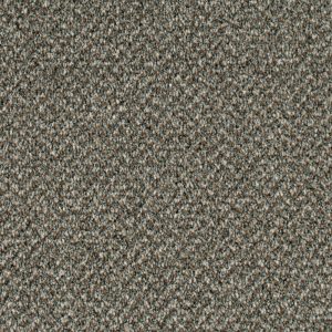 Stainaway Tweed Carpet - Image 3