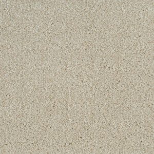 Cassius Invictus Carpet - Image 3