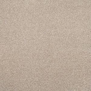 Cassius Invictus Carpet - Image 15