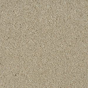 Cassius Invictus Carpet - Image 4