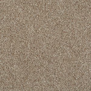 Cassius Invictus Carpet - Image 6