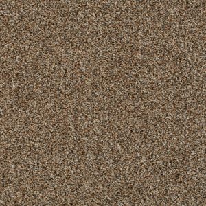 Cassius Invictus Carpet - Image 7