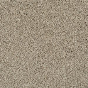 Cassius Invictus Carpet - Image 5