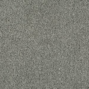 Cassius Invictus Carpet - Image 2