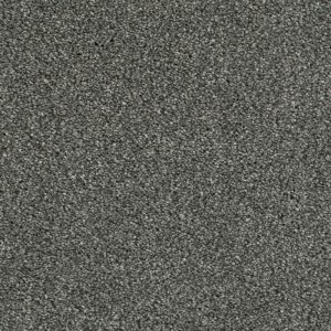 Cassius Invictus Carpet - Image 10
