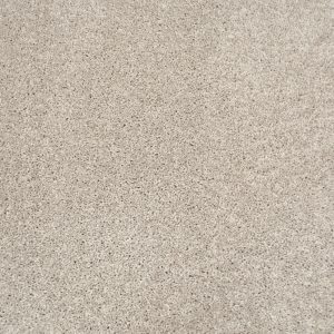 Centaurus Invictus Carpet - Image 7