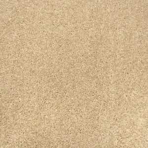 Centaurus Invictus Carpet - Image 4