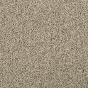 Darius Invictus Carpet - Image 10