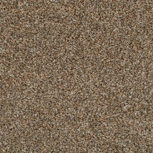 Darius Invictus Carpet - Image 5