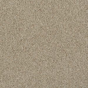 Darius Invictus Carpet - Image 6