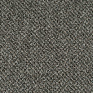 Stainaway Tweed Carpet - Image 4