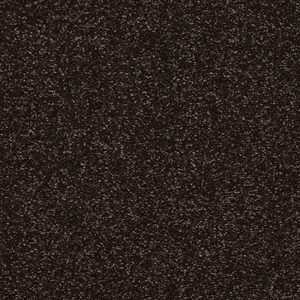 Stainfree Caress Carpet - Image 16
