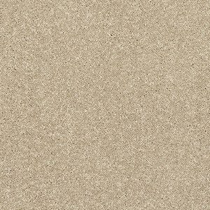 Stainfree Caress Carpet - Image 10