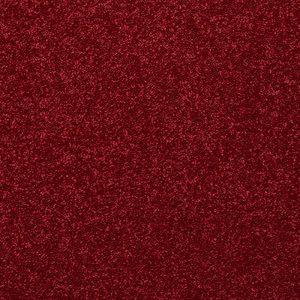 Stainfree Caress Carpet - Image 2