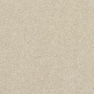 Stainfree Caress Carpet - Image 2