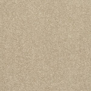 Stainfree Caress Carpet - Image 6