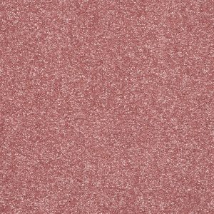 Stainfree Caress Carpet - Image 9