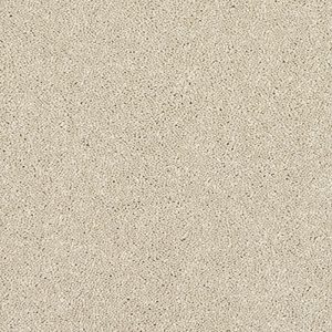 Stainfree Caress Carpet - Image 14