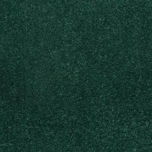 Stainfree Caress Carpet - Image 7