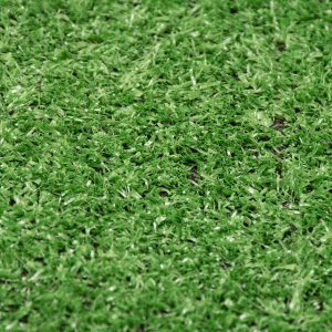 Budget Artificial Grass - Image 3