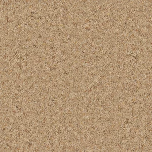 Cormar Natural Berber Twist Elite 45oz Carpet - Image 16